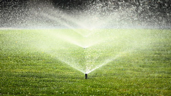 Sprinkler Blowout Services Near Me